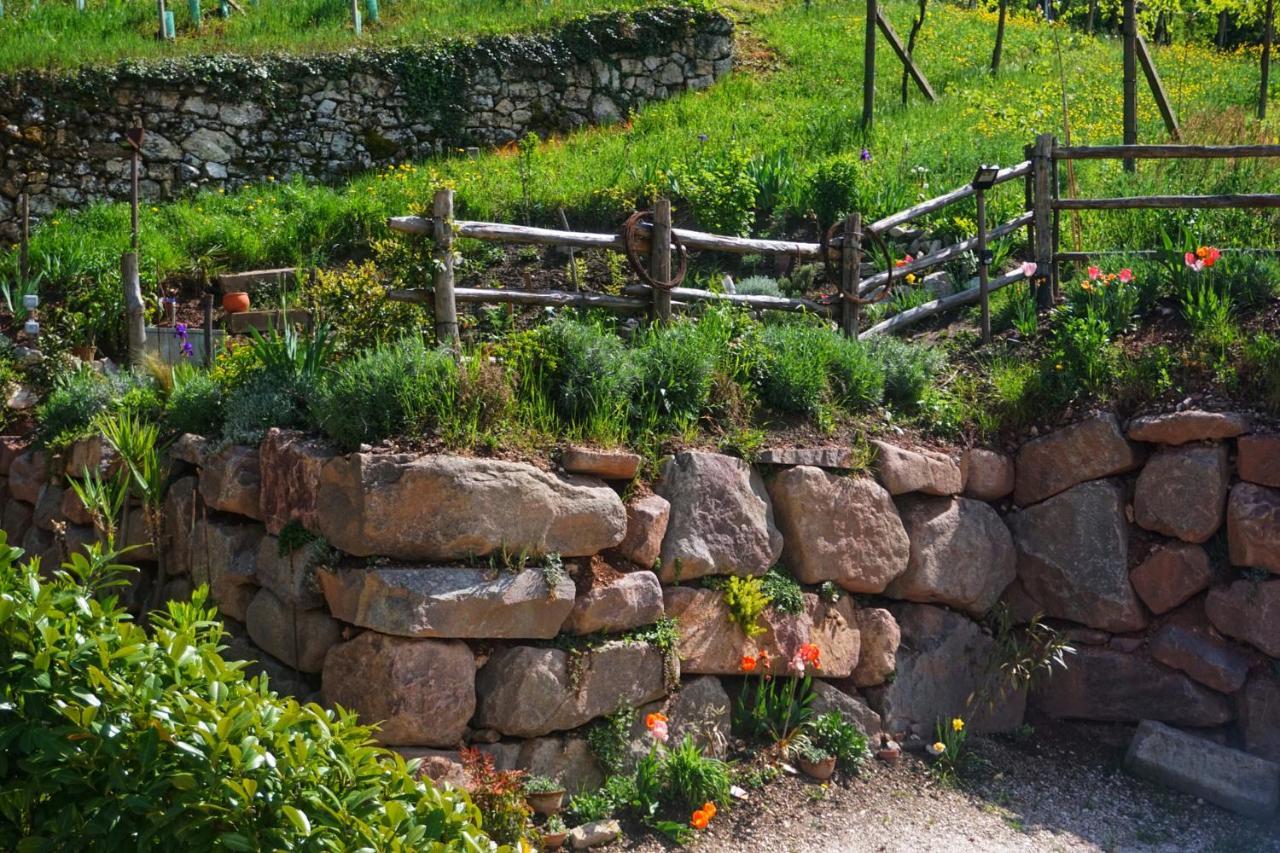 Agritur Zuveith Lejlighed Salorno Eksteriør billede